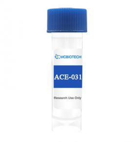 ACE-031